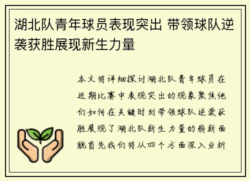 湖北队青年球员表现突出 带领球队逆袭获胜展现新生力量