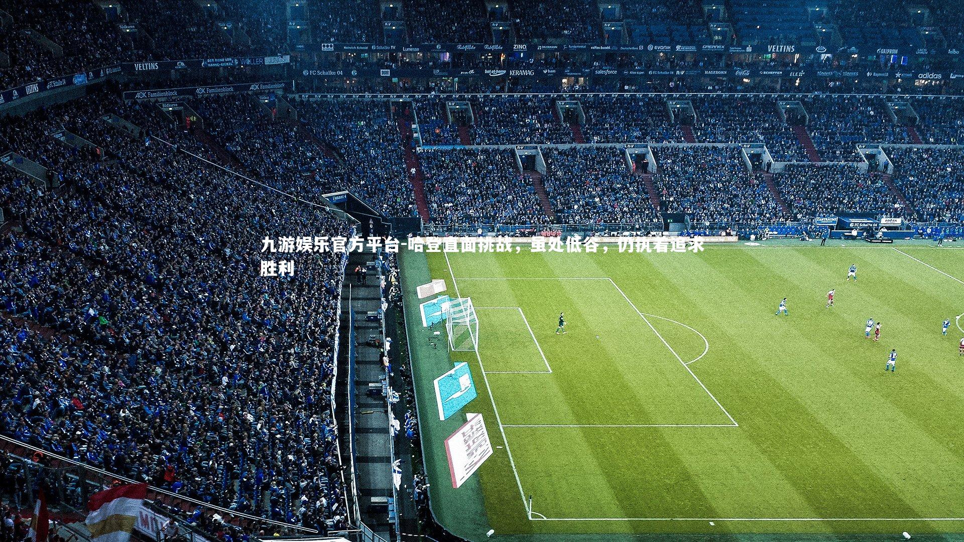 哈登直面挑战,虽处低谷,仍执着追求胜利